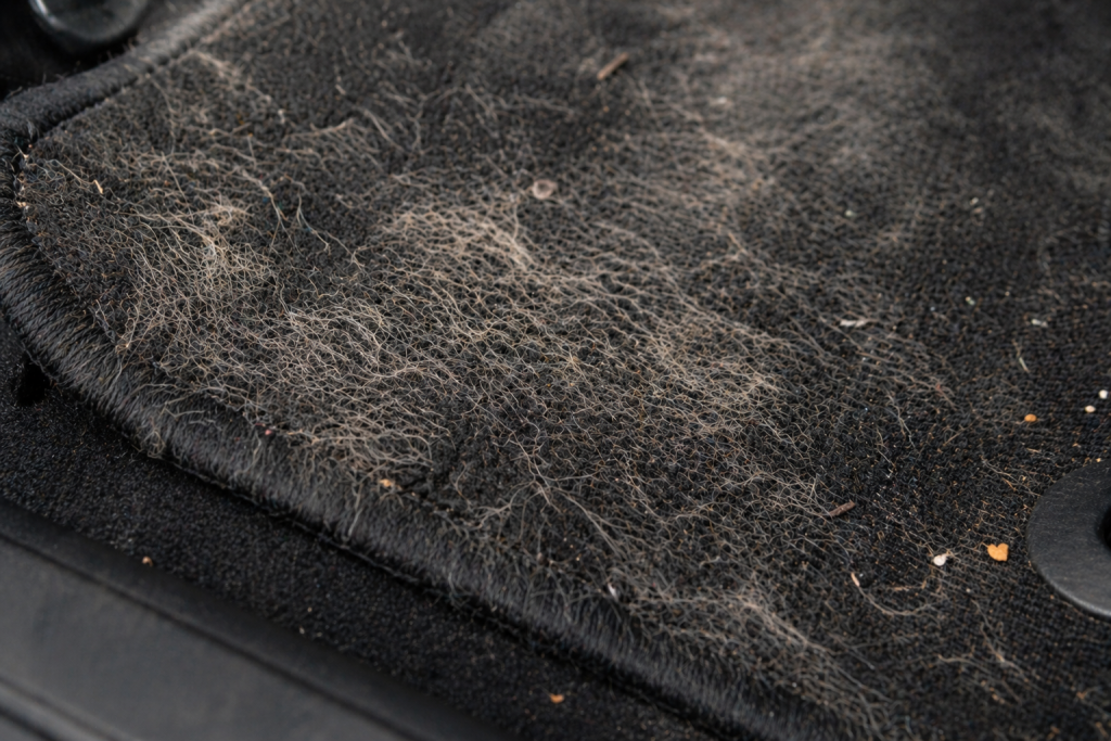 Close-up showing pet hair removal challenge with embedded dog hair deep in car carpet loops